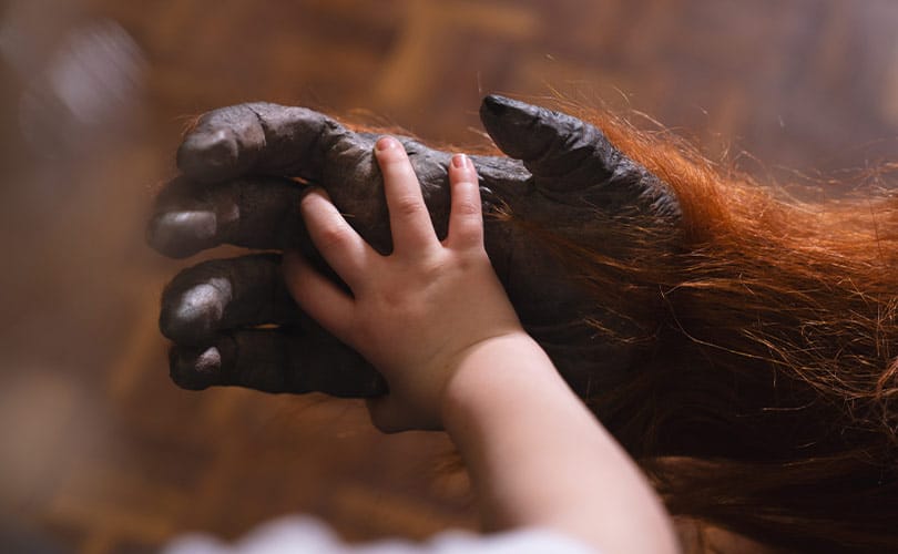 Orangutan-Hand