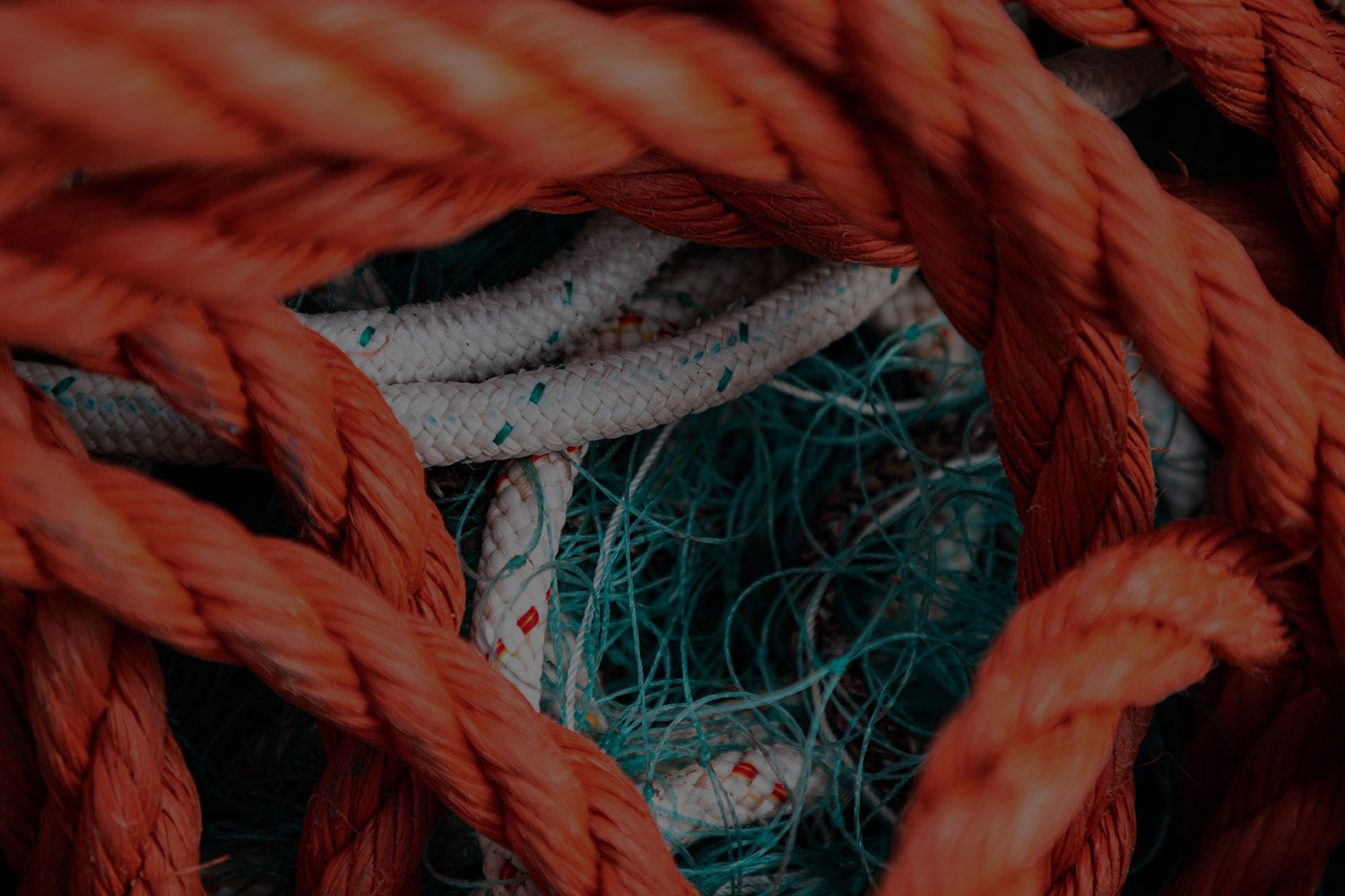 Faber nets