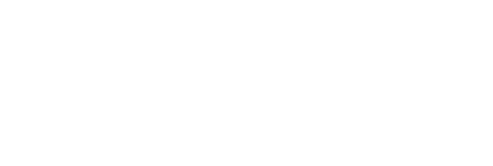 Safer Sphere logo white